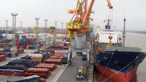 Bãi container cho các hãng tàu - Logistics KMG - Công Ty TNHH Toàn Cầu Khải Minh